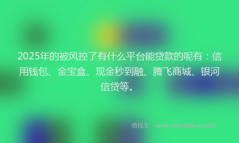 2025年的被风控了有什么平台能贷款的呢有：信用钱包、金宝盒、现金秒到融、腾飞商城、银河信贷等。