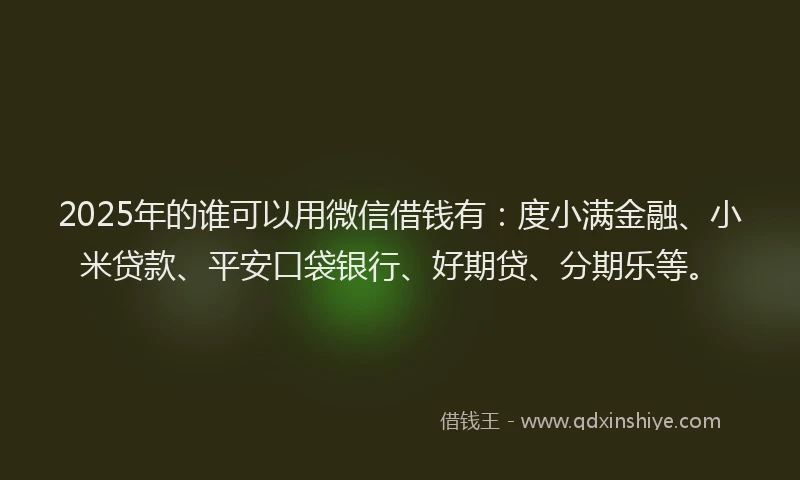 2025年的谁可以用微信借钱有：度小满金融、小米贷款、平安口袋银行、好期贷、分期乐等。