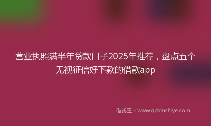 营业执照满半年贷款口子2025年推荐，盘点五个无视征信好下款的借款app