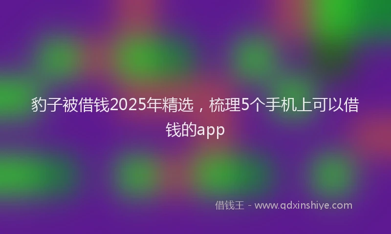 豹子被借钱2025年精选，梳理5个手机上可以借钱的app