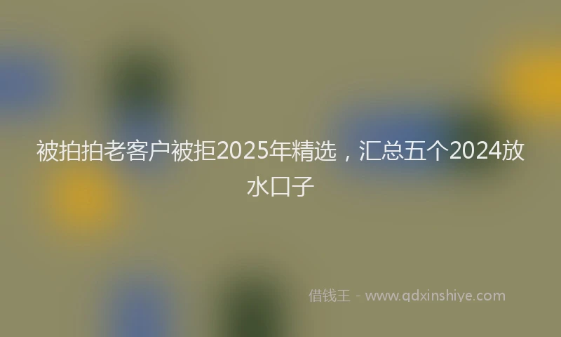 被拍拍老客户被拒2025年精选，汇总五个2024放水口子
