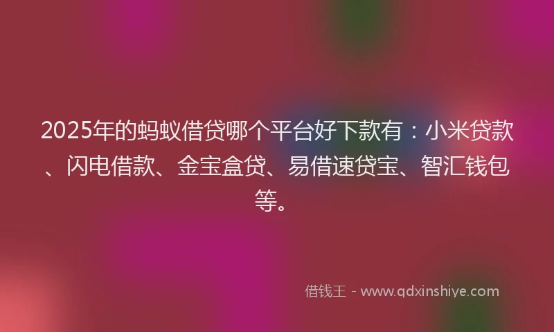 2025年的蚂蚁借贷哪个平台好下款有：小米贷款、闪电借款、金宝盒贷、易借速贷宝、智汇钱包等。