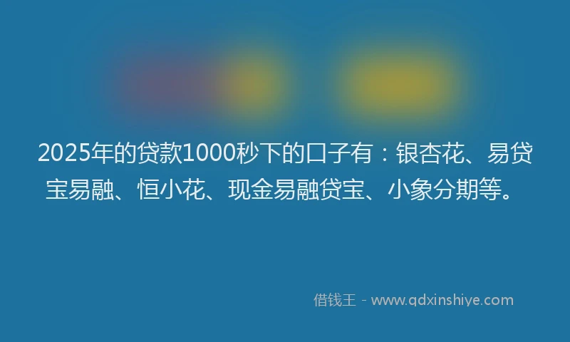 2025年的贷款1000秒下的口子有：银杏花、易贷宝易融、恒小花、现金易融贷宝、小象分期等。