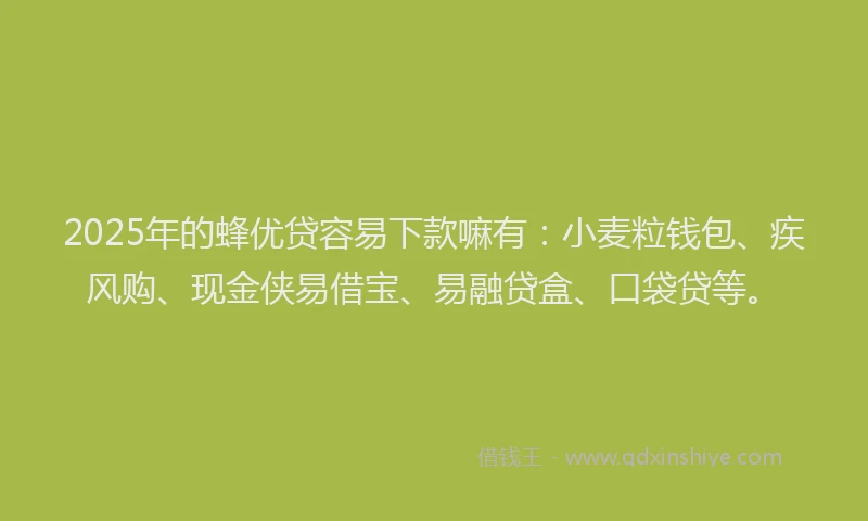 2025年的蜂优贷容易下款嘛有：小麦粒钱包、疾风购、现金侠易借宝、易融贷盒、口袋贷等。