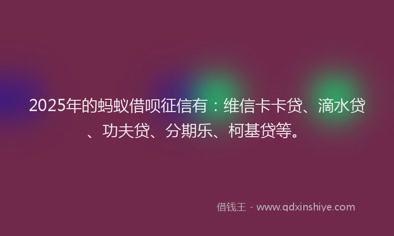 2025年的蚂蚁借呗征信有：维信卡卡贷、滴水贷、功夫贷、分期乐、柯基贷等。