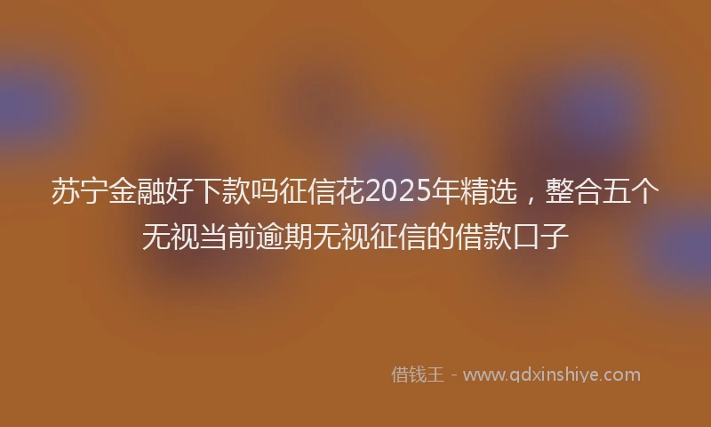 苏宁金融好下款吗征信花2025年精选，整合五个无视当前逾期无视征信的借款口子