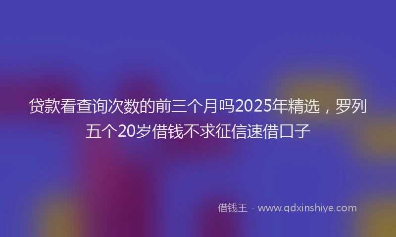 贷款看查询次数的前三个月吗2025年精选，罗列五个20岁借钱不求征信速借口子