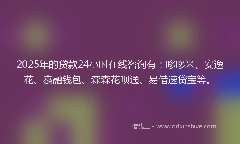 2025年的贷款24小时在线咨询有：哆哆米、安逸花、鑫融钱包、森森花呗通、易借速贷宝等。