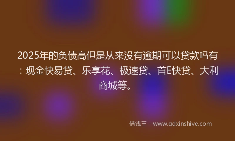 2025年的负债高但是从来没有逾期可以贷款吗有：现金快易贷、乐享花、极速贷、首E快贷、大利商城等。