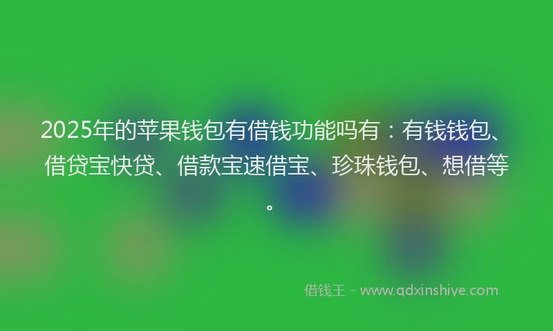 2025年的苹果钱包有借钱功能吗有：有钱钱包、借贷宝快贷、借款宝速借宝、珍珠钱包、想借等。