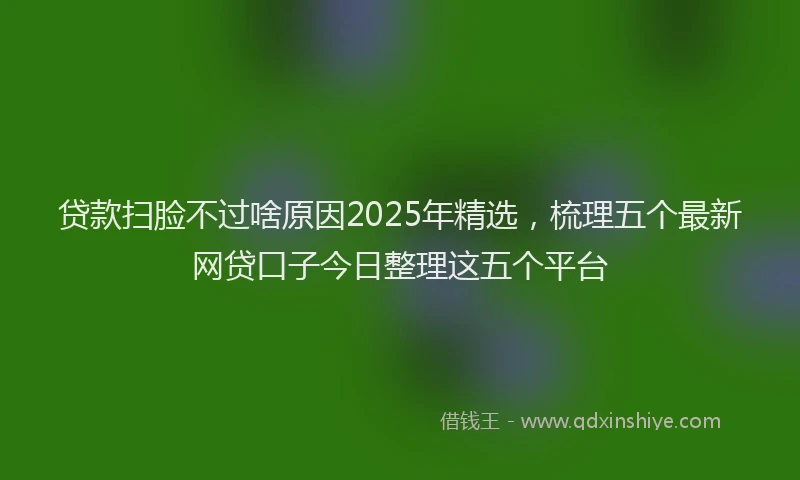 贷款扫脸不过啥原因2025年精选，梳理五个最新网贷口子今日整理这五个平台