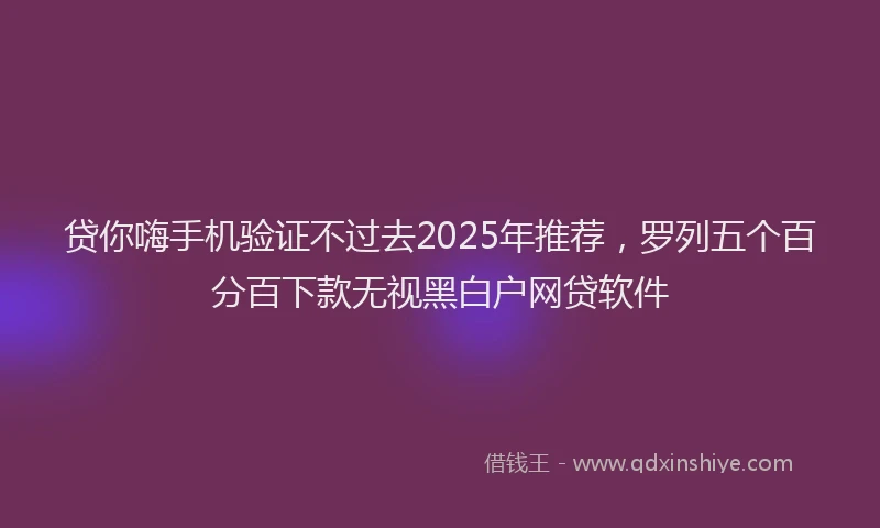 贷你嗨手机验证不过去2025年推荐，罗列五个百分百下款无视黑白户网贷软件