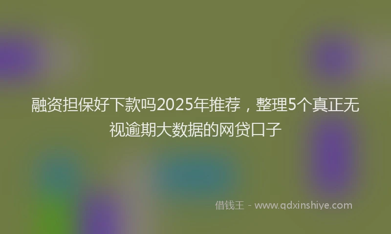 融资担保好下款吗2025年推荐，整理5个真正无视逾期大数据的网贷口子