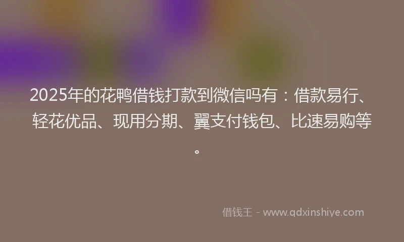 2025年的花鸭借钱打款到微信吗有：借款易行、轻花优品、现用分期、翼支付钱包、比速易购等。