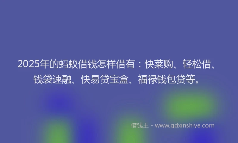 2025年的蚂蚁借钱怎样借有：快莱购、轻松借、钱袋速融、快易贷宝盒、福禄钱包贷等。