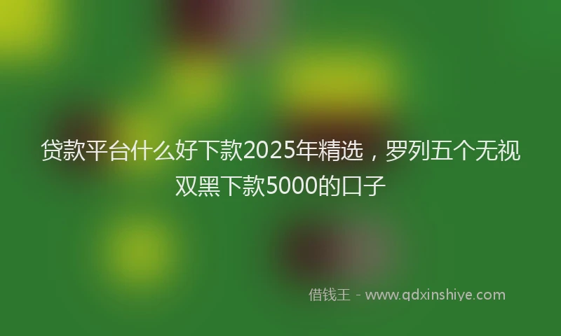 贷款平台什么好下款2025年精选，罗列五个无视双黑下款5000的口子