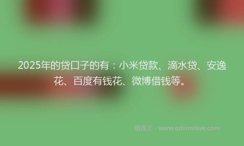 2025年的贷口子的有：小米贷款、滴水贷、安逸花、百度有钱花、微博借钱等。