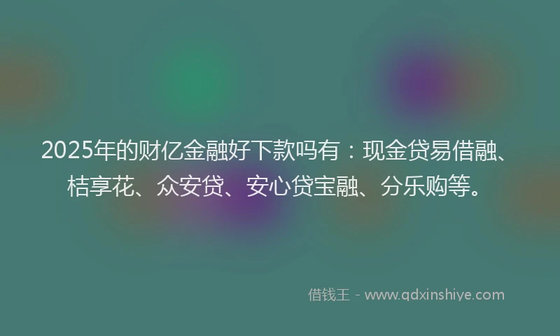 2025年的财亿金融好下款吗有：现金贷易借融、桔享花、众安贷、安心贷宝融、分乐购等。