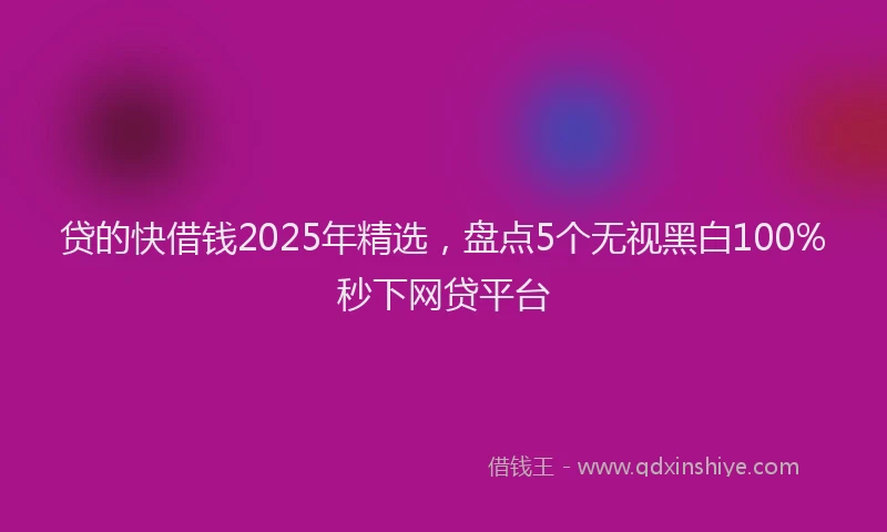 贷的快借钱2025年精选，盘点5个无视黑白100%秒下网贷平台