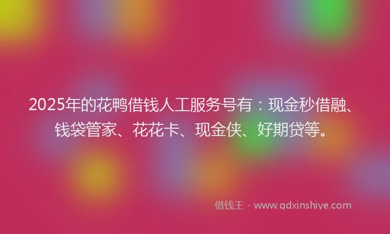 2025年的花鸭借钱人工服务号有：现金秒借融、钱袋管家、花花卡、现金侠、好期贷等。