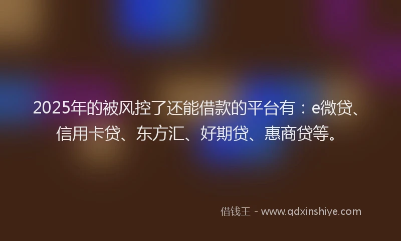 2025年的被风控了还能借款的平台有：e微贷、信用卡贷、东方汇、好期贷、惠商贷等。