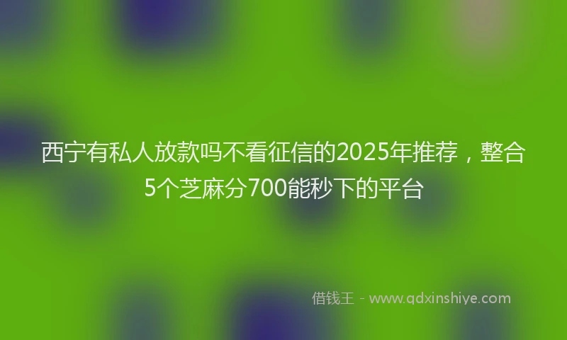 西宁有私人放款吗不看征信的2025年推荐，整合5个芝麻分700能秒下的平台