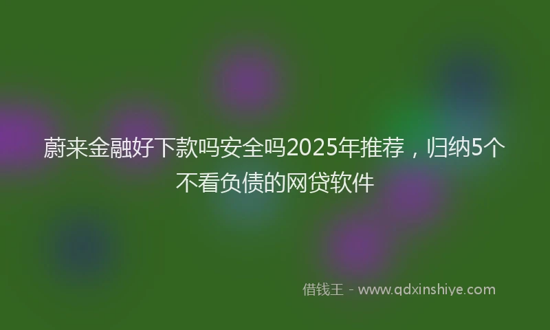 蔚来金融好下款吗安全吗2025年推荐，归纳5个不看负债的网贷软件