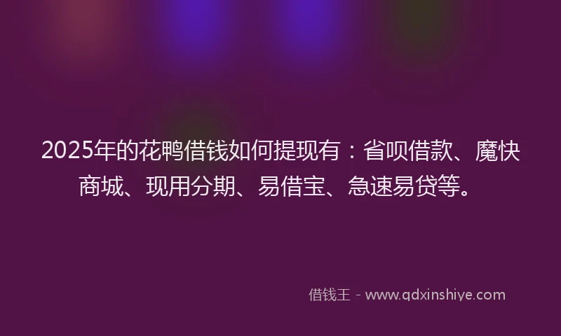 2025年的花鸭借钱如何提现有：省呗借款、魔快商城、现用分期、易借宝、急速易贷等。