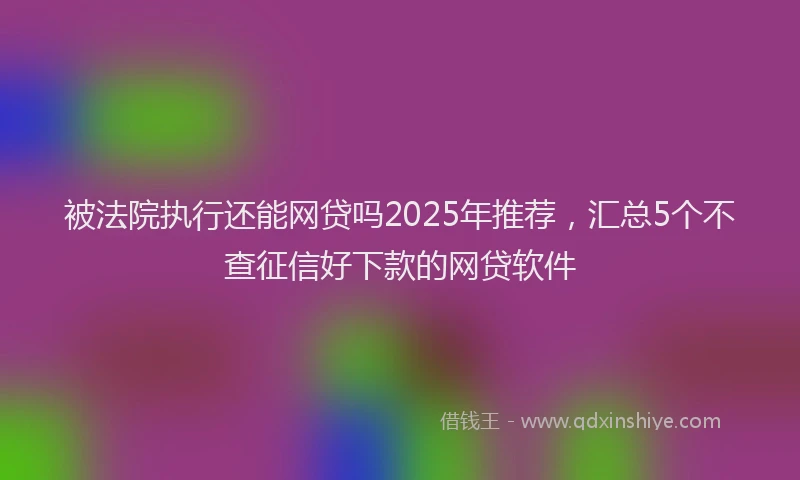被法院执行还能网贷吗2025年推荐，汇总5个不查征信好下款的网贷软件