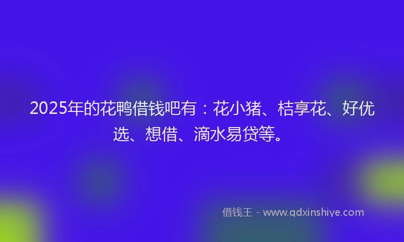 2025年的花鸭借钱吧有：花小猪、桔享花、好优选、想借、滴水易贷等。