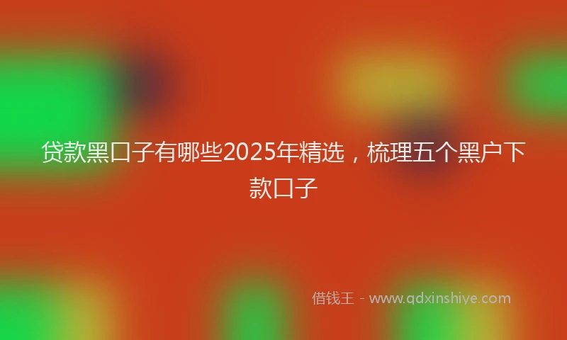 贷款黑口子有哪些2025年精选，梳理五个黑户下款口子