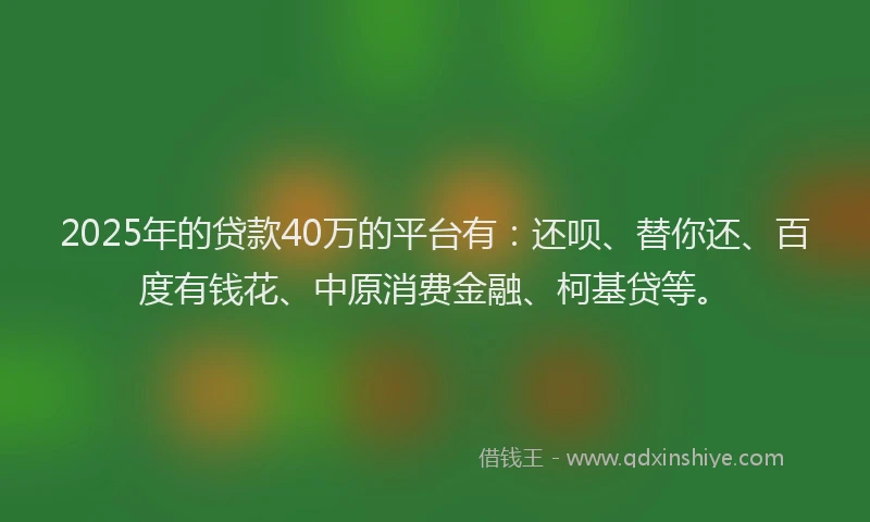 2025年的贷款40万的平台有：还呗、替你还、百度有钱花、中原消费金融、柯基贷等。