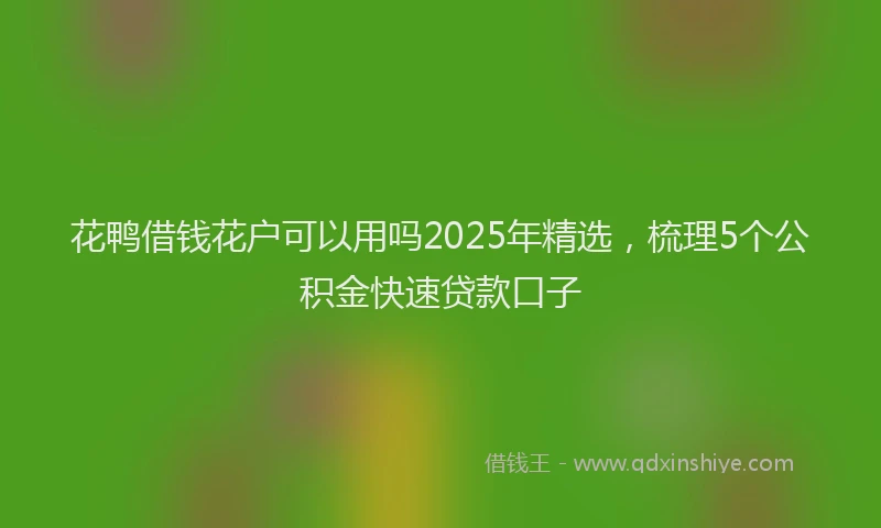 花鸭借钱花户可以用吗2025年精选，梳理5个公积金快速贷款口子