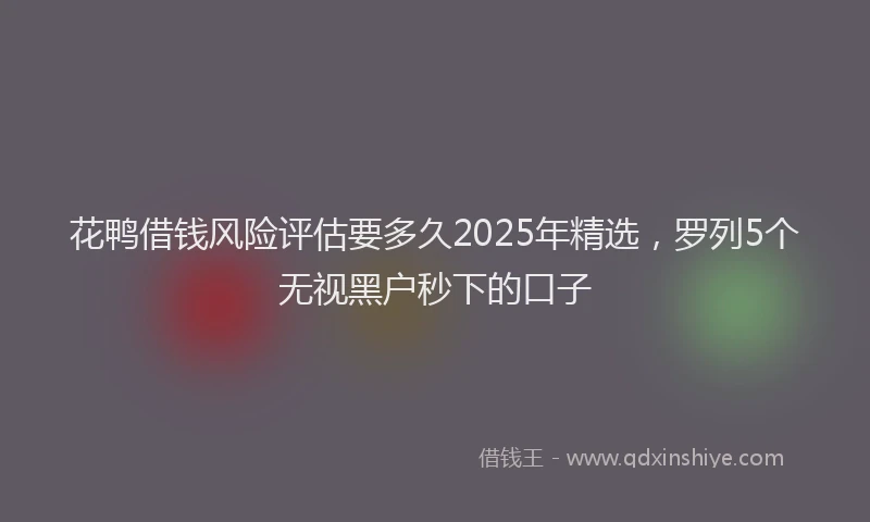 花鸭借钱风险评估要多久2025年精选，罗列5个无视黑户秒下的口子