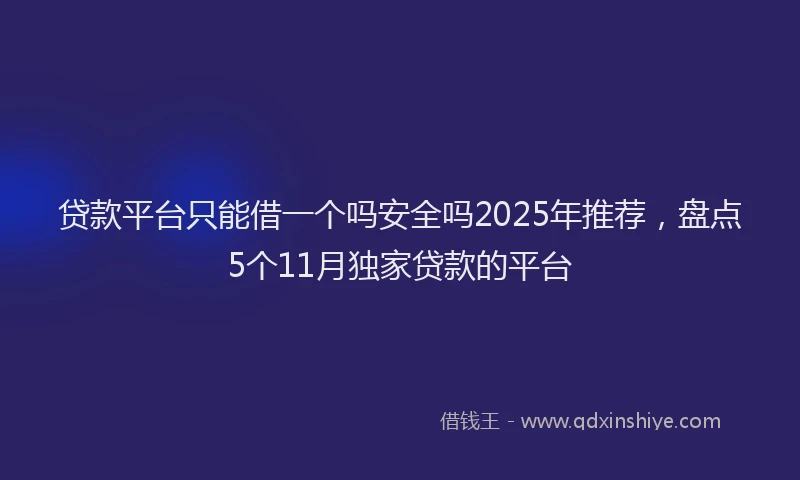 贷款平台只能借一个吗安全吗2025年推荐，盘点5个11月独家贷款的平台