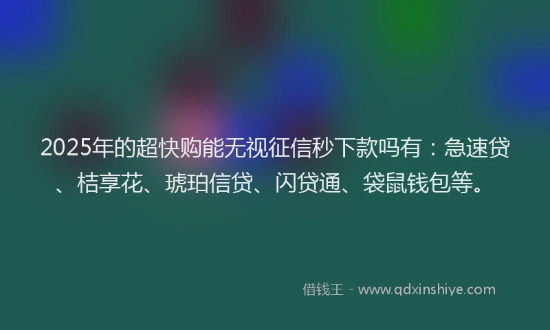 2025年的超快购能无视征信秒下款吗有:急速贷、桔享花、琥珀信贷、闪贷通、袋鼠钱包等。