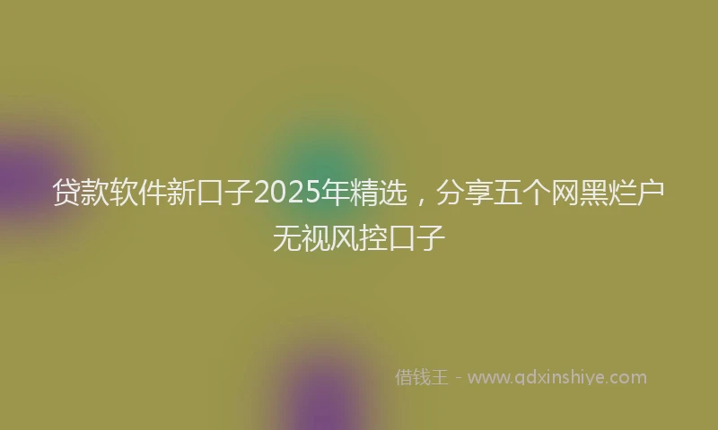 贷款软件新口子2025年精选，分享五个网黑烂户无视风控口子