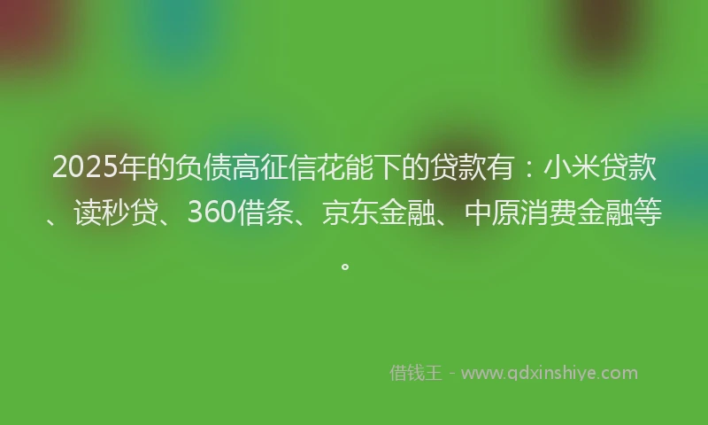 2025年的负债高征信花能下的贷款有：小米贷款、读秒贷、360借条、京东金融、中原消费金融等。