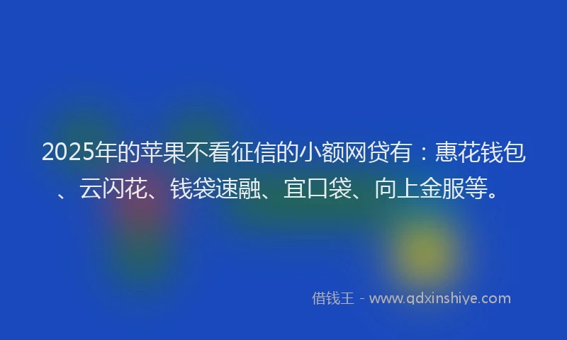2025年的苹果不看征信的小额网贷有：惠花钱包、云闪花、钱袋速融、宜口袋、向上金服等。