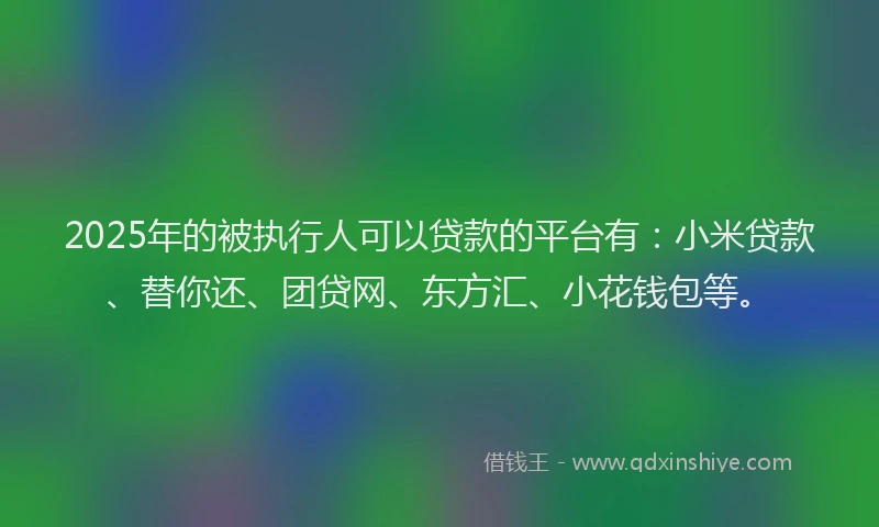 2025年的被执行人可以贷款的平台有：小米贷款、替你还、团贷网、东方汇、小花钱包等。