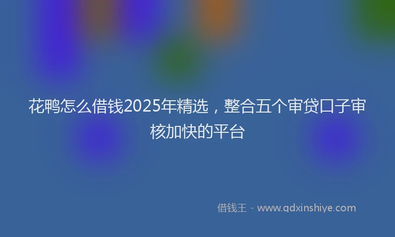 花鸭怎么借钱2025年精选，整合五个审贷口子审核加快的平台