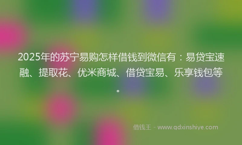 2025年的苏宁易购怎样借钱到微信有：易贷宝速融、提取花、优米商城、借贷宝易、乐享钱包等。