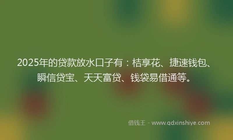2025年的贷款放水口子有：桔享花、捷速钱包、瞬信贷宝、天天富贷、钱袋易借通等。