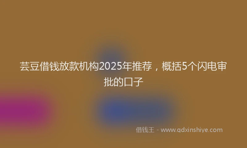 芸豆借钱放款机构2025年推荐，概括5个闪电审批的口子