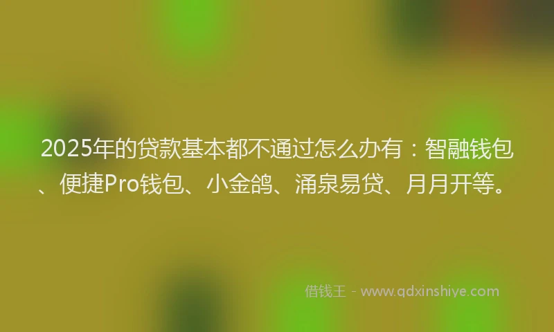2025年的贷款基本都不通过怎么办有：智融钱包、便捷Pro钱包、小金鸽、涌泉易贷、月月开等。