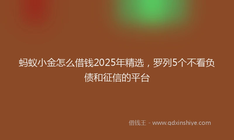蚂蚁小金怎么借钱2025年精选，罗列5个不看负债和征信的平台