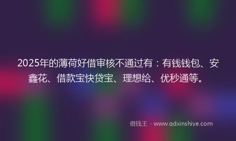 2025年的薄荷好借审核不通过有：有钱钱包、安鑫花、借款宝快贷宝、理想给、优秒通等。