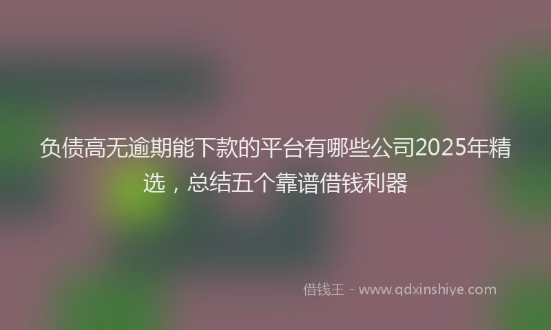负债高无逾期能下款的平台有哪些公司2025年精选，总结五个靠谱借钱利器