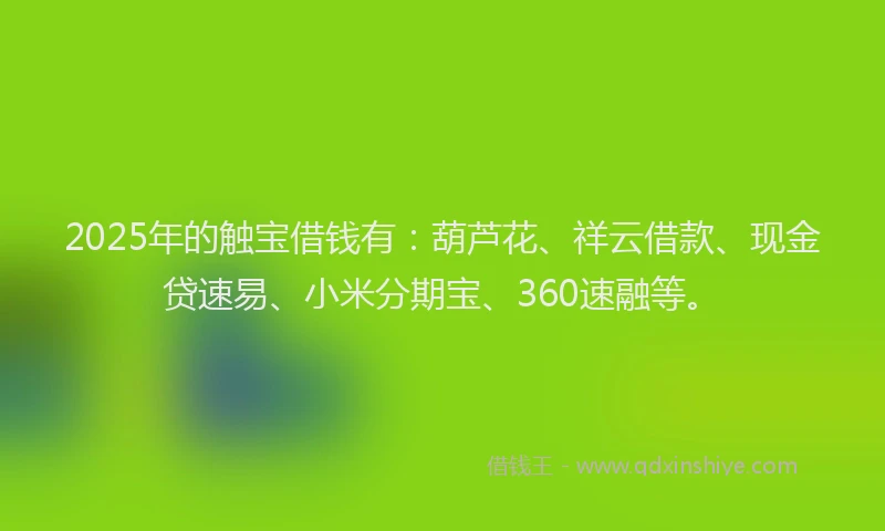 2025年的触宝借钱有：葫芦花、祥云借款、现金贷速易、小米分期宝、360速融等。