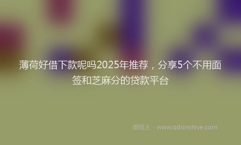 薄荷好借下款呢吗2025年推荐，分享5个不用面签和芝麻分的贷款平台